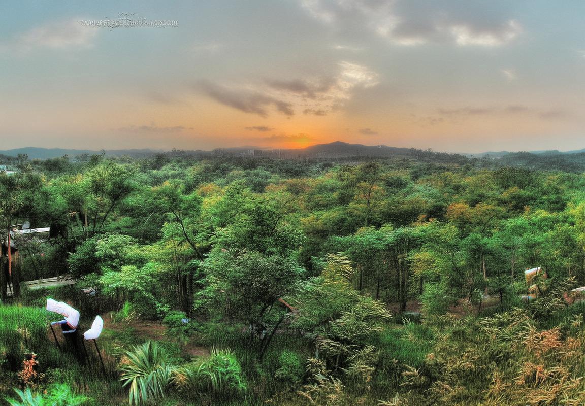 雷霆队18胜1负创纪录，核心球员复出提升攻防效率，西部强敌能否阻挡？